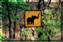 Verkehrschild_Elefant.jpg (187020 Byte)